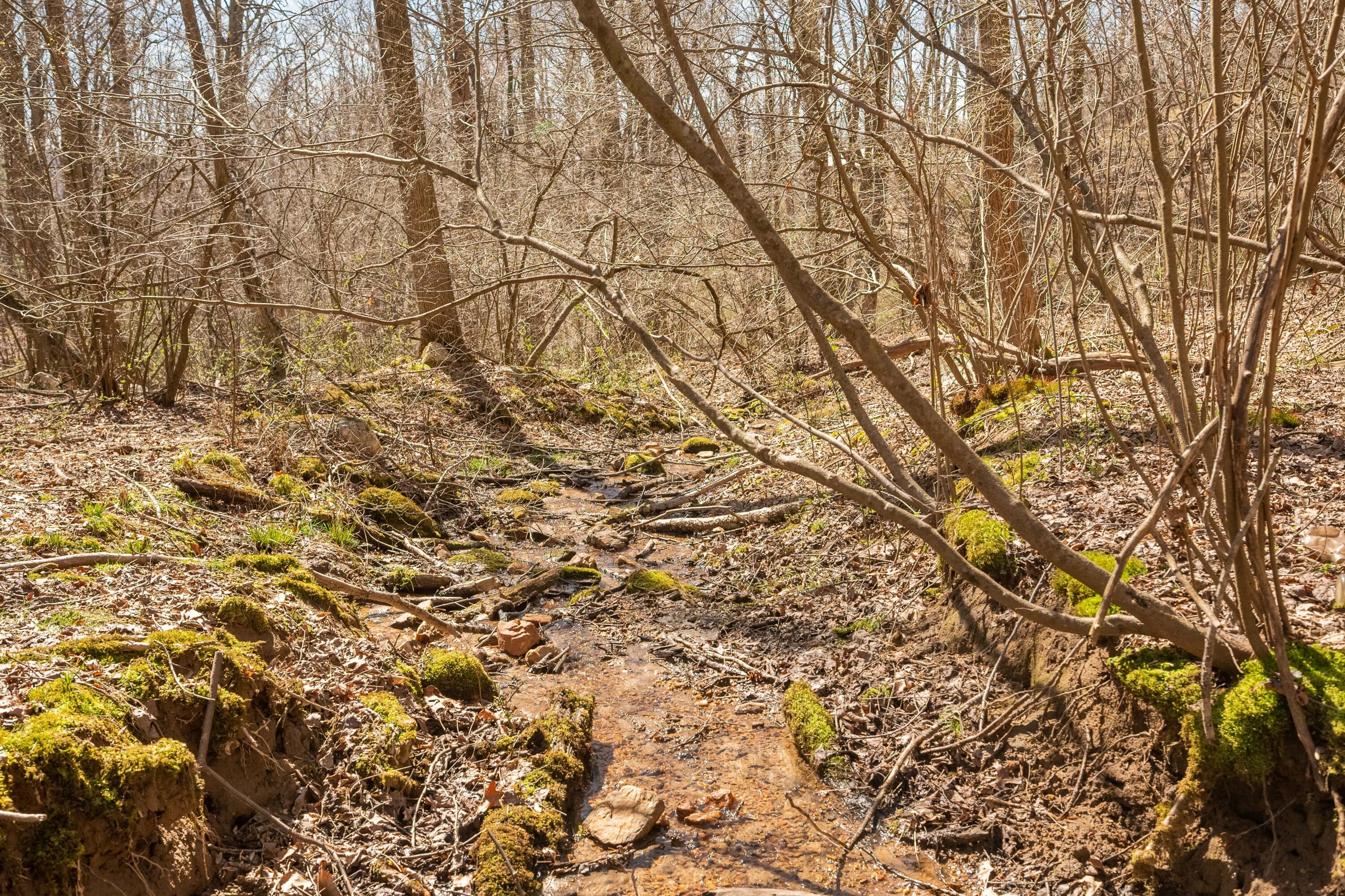 302 Red Ford Road Southwest Meadows Of Dan, VA 24120 - Photo 49 of 75 floyd-51