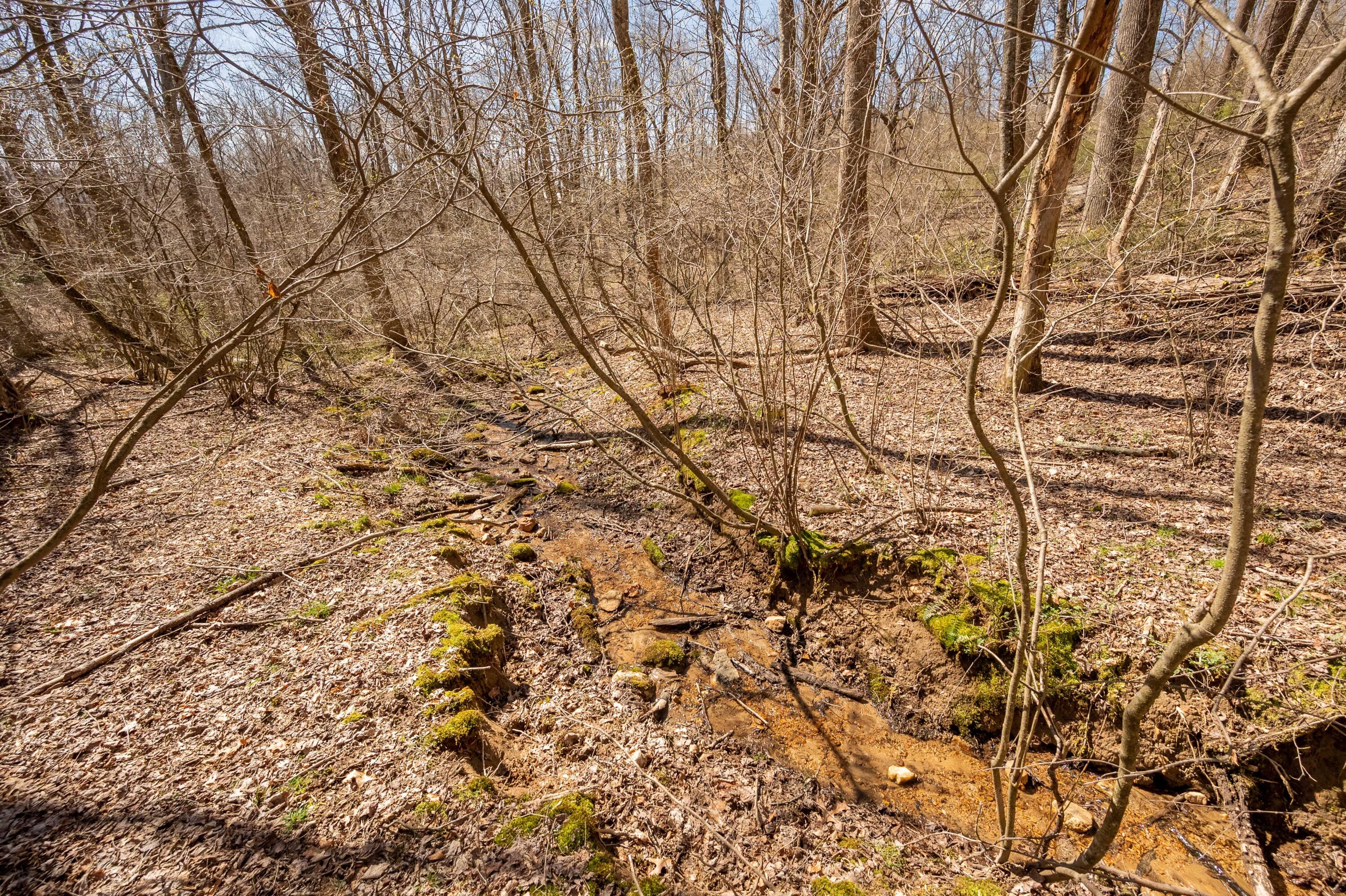 302 Red Ford Road Southwest Meadows Of Dan, VA 24120 - Photo 50 of 75 floyd-52