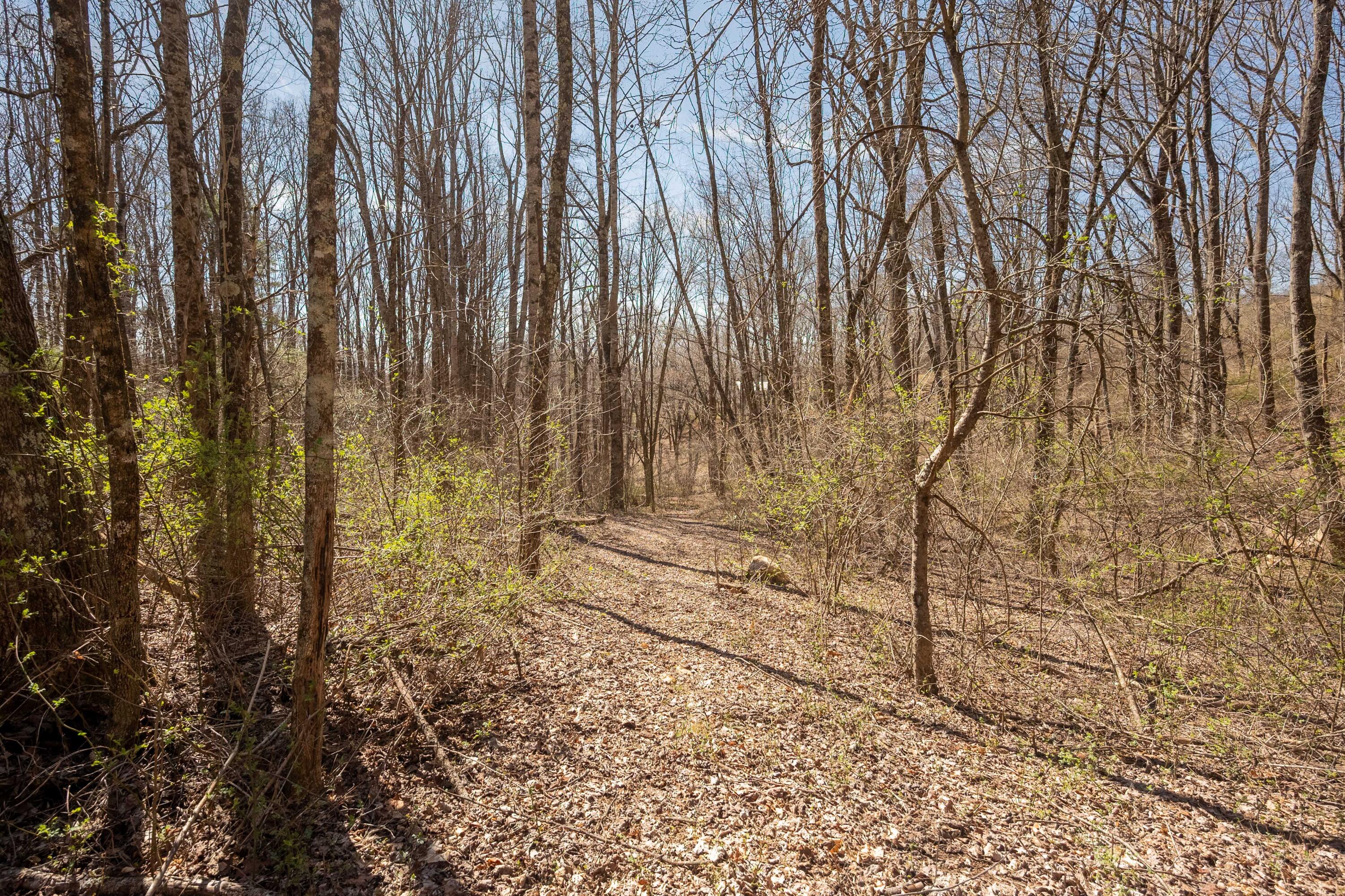 302 Red Ford Road Southwest Meadows Of Dan, VA 24120 - Photo 51 of 75 floyd-53