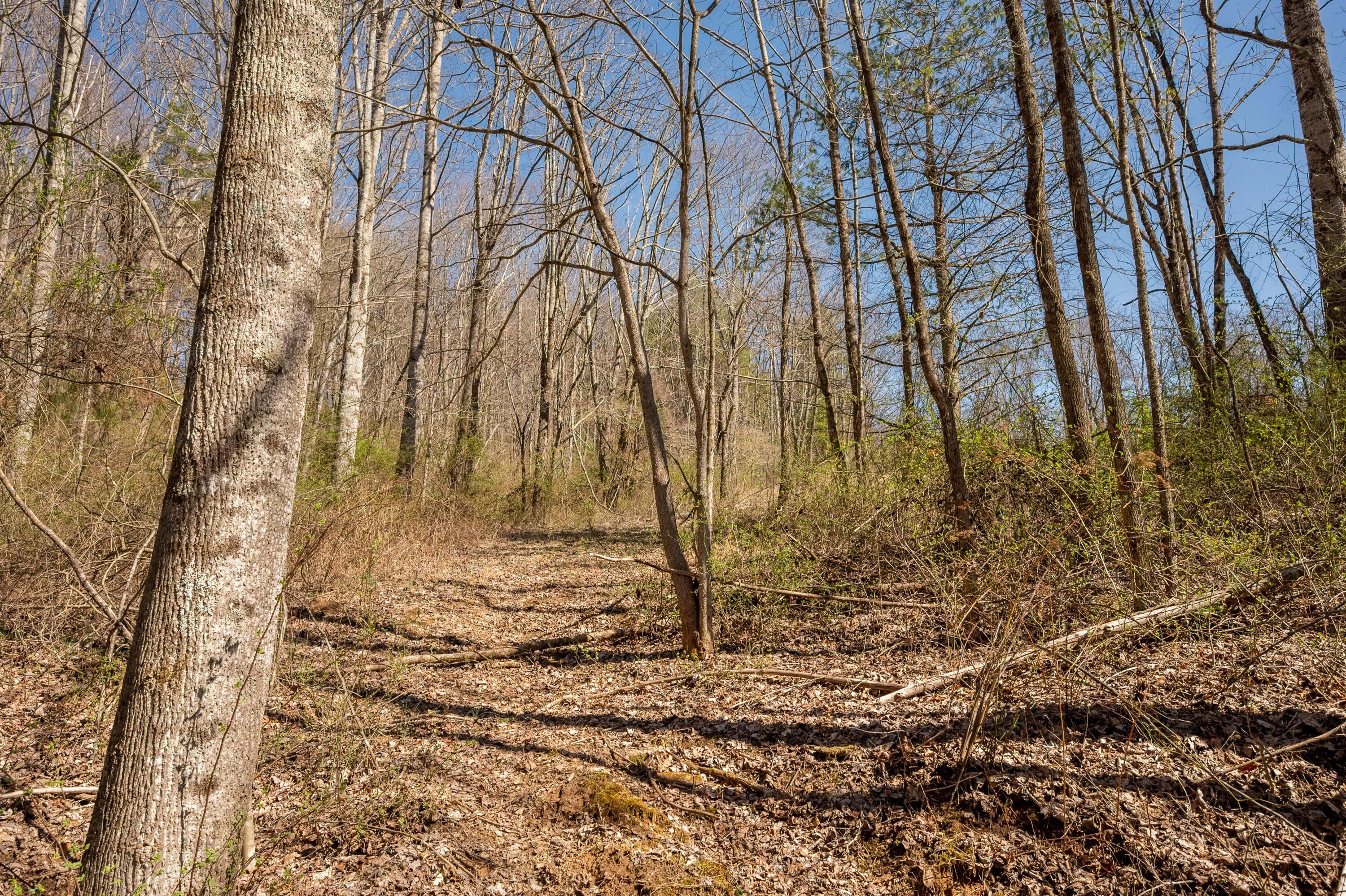 302 Red Ford Road Southwest Meadows Of Dan, VA 24120 - Photo 52 of 75 floyd-54