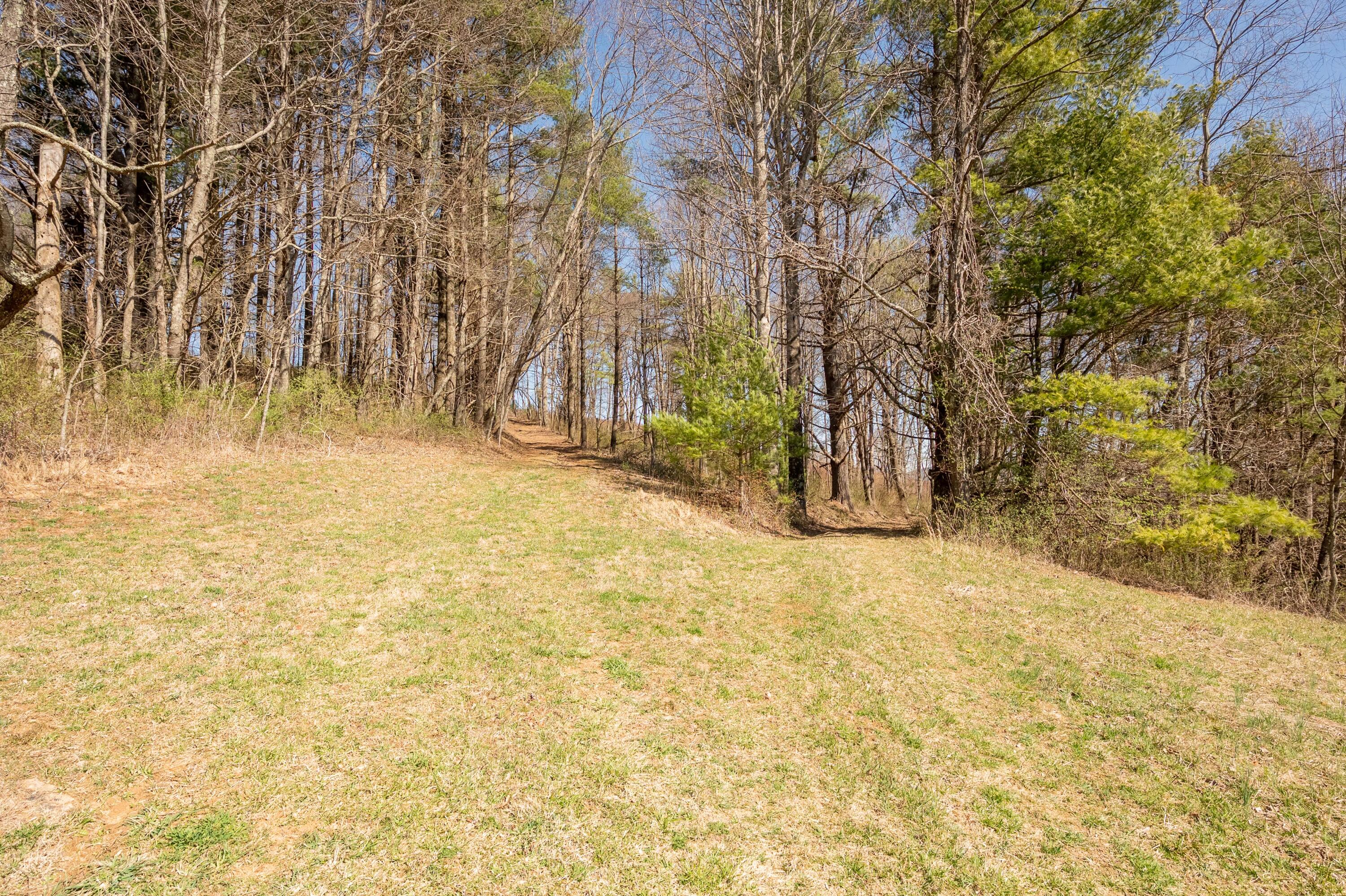 302 Red Ford Road Southwest Meadows Of Dan, VA 24120 - Photo 53 of 75 floyd-55