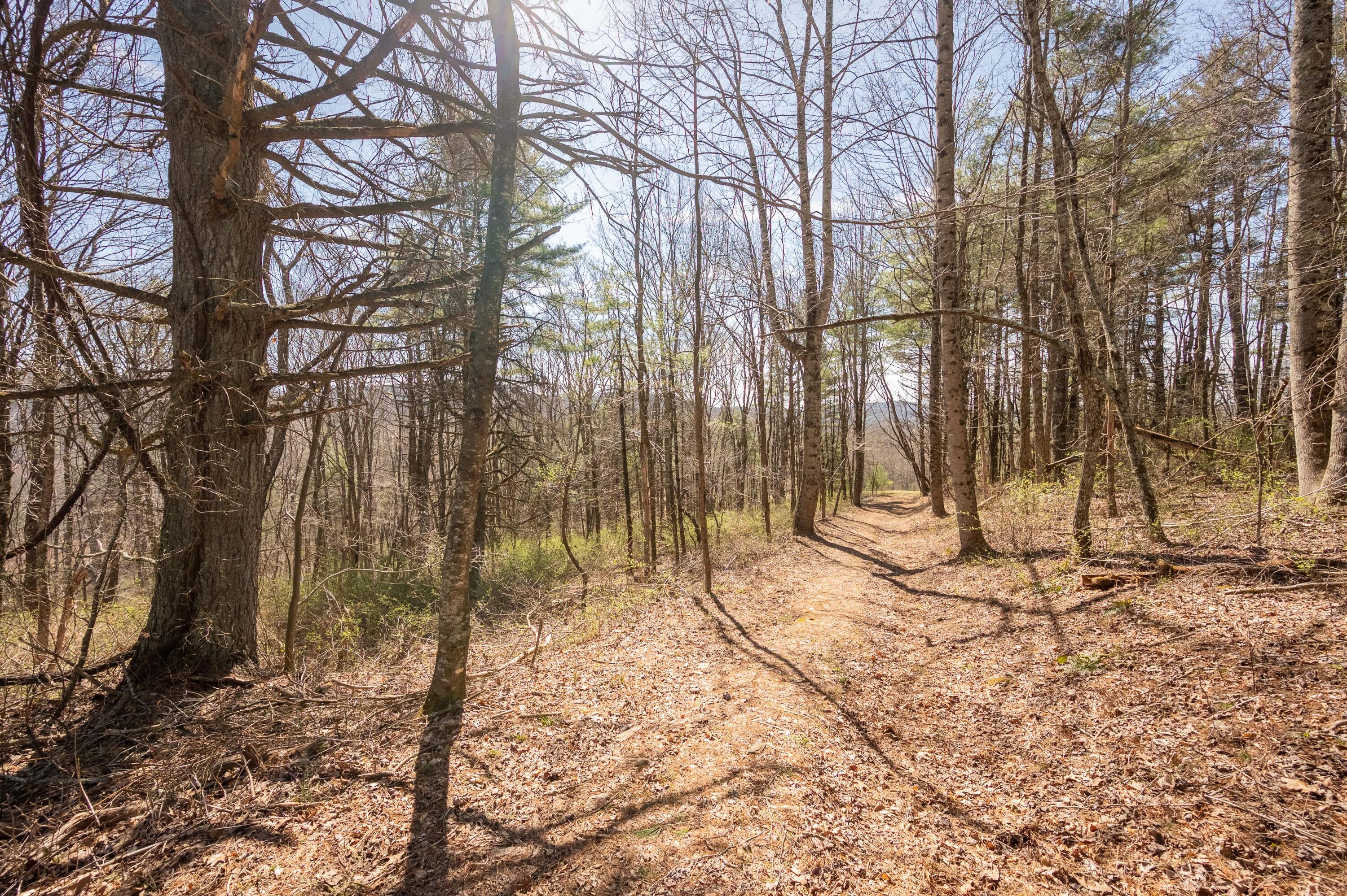 302 Red Ford Road Southwest Meadows Of Dan, VA 24120 - Photo 55 of 75 floyd-57