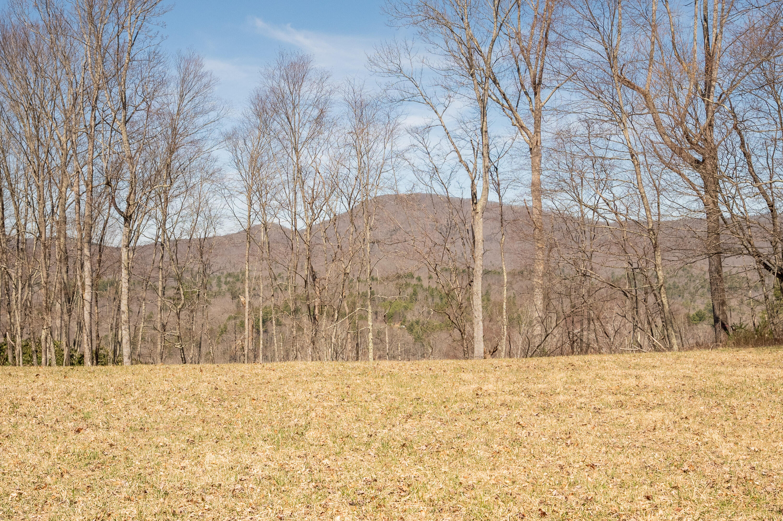 302 Red Ford Road Southwest Meadows Of Dan, VA 24120 - Photo 56 of 75 floyd-58