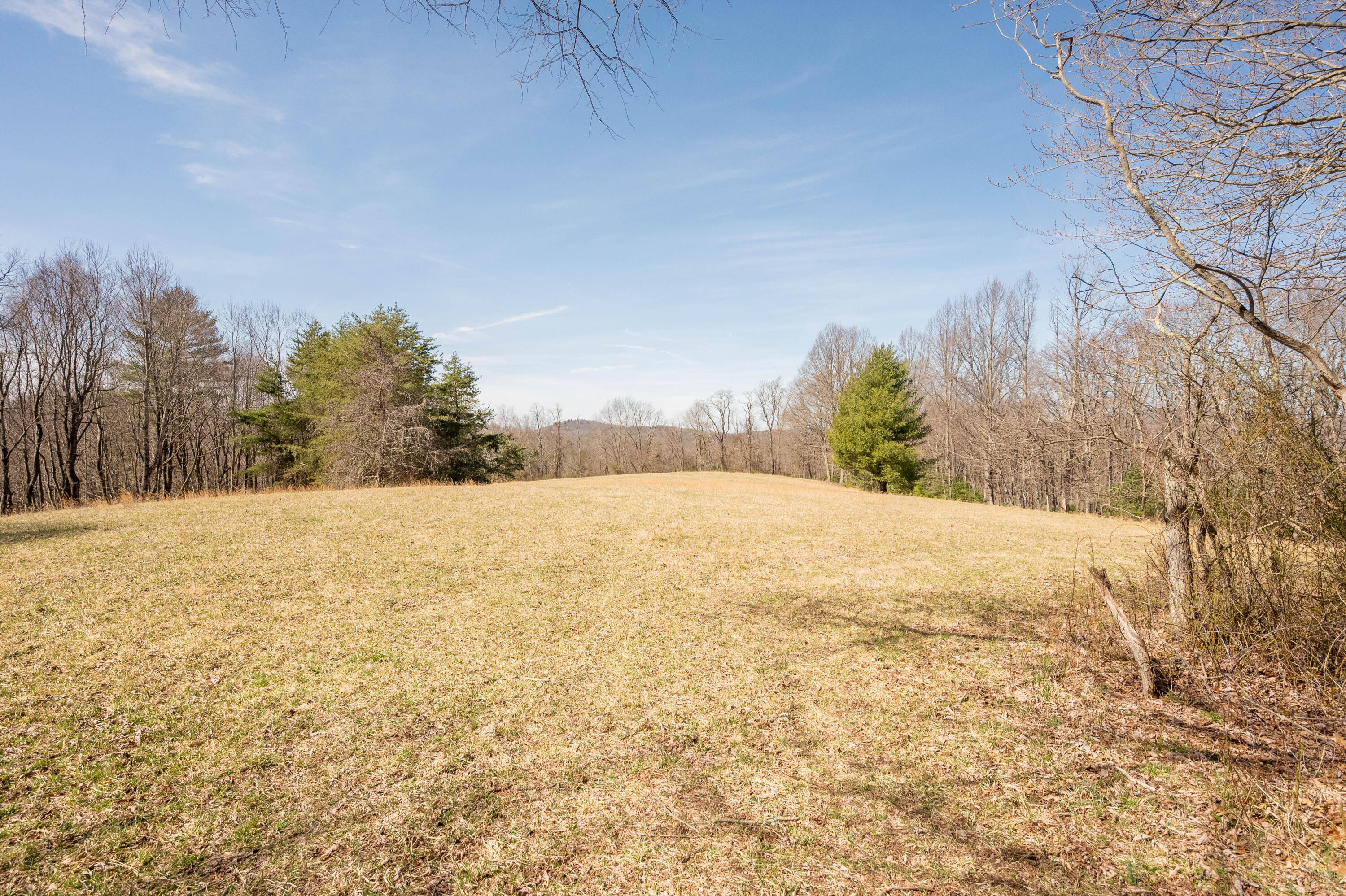 302 Red Ford Road Southwest Meadows Of Dan, VA 24120 - Photo 57 of 75 floyd-61