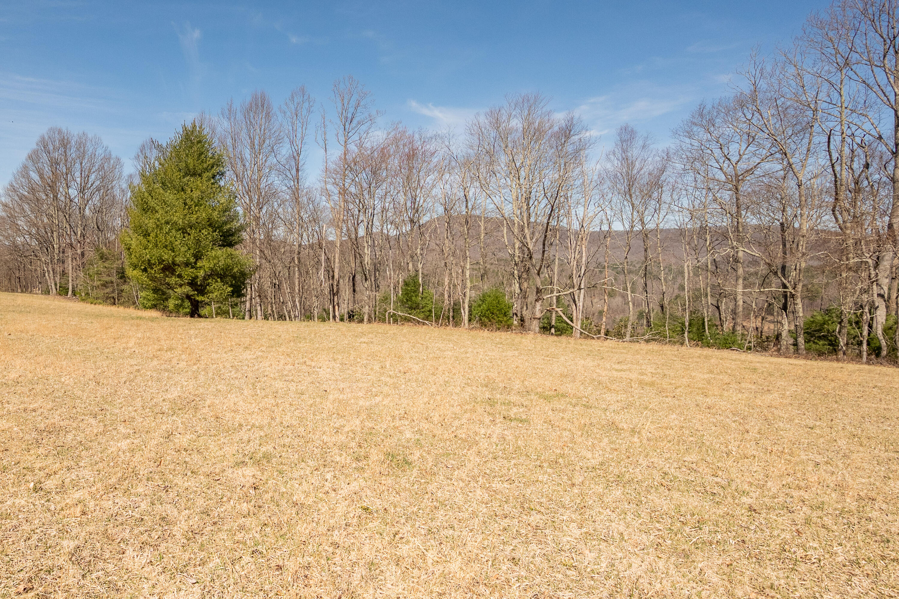 302 Red Ford Road Southwest Meadows Of Dan, VA 24120 - Photo 58 of 75 floyd-63