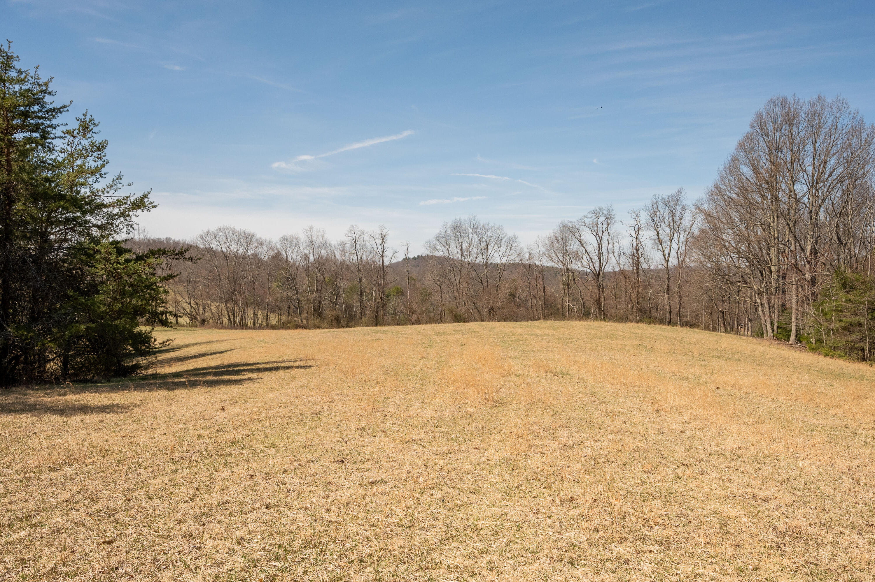 302 Red Ford Road Southwest Meadows Of Dan, VA 24120 - Photo 59 of 75 floyd-64