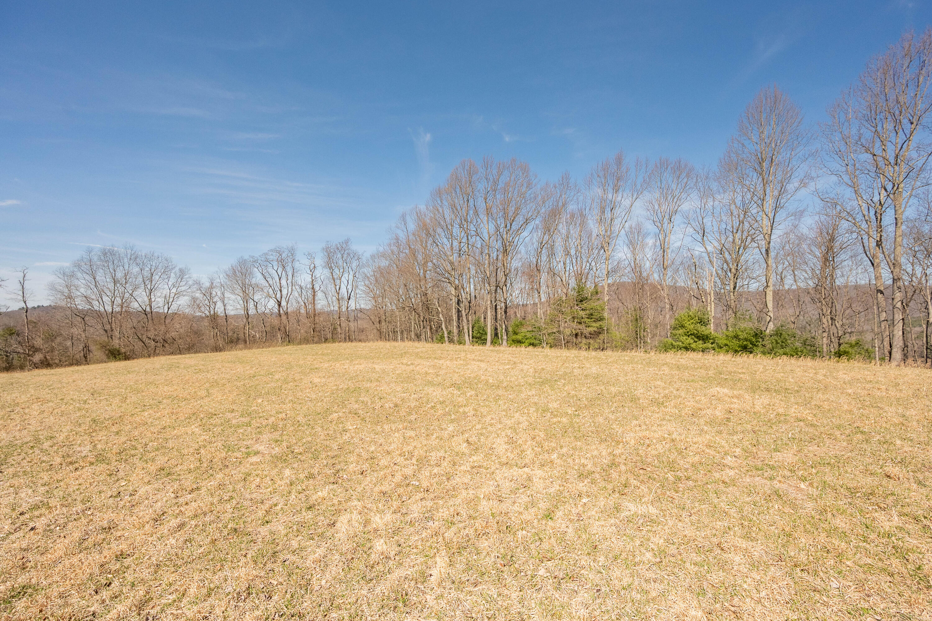 302 Red Ford Road Southwest Meadows Of Dan, VA 24120 - Photo 60 of 75 floyd-65