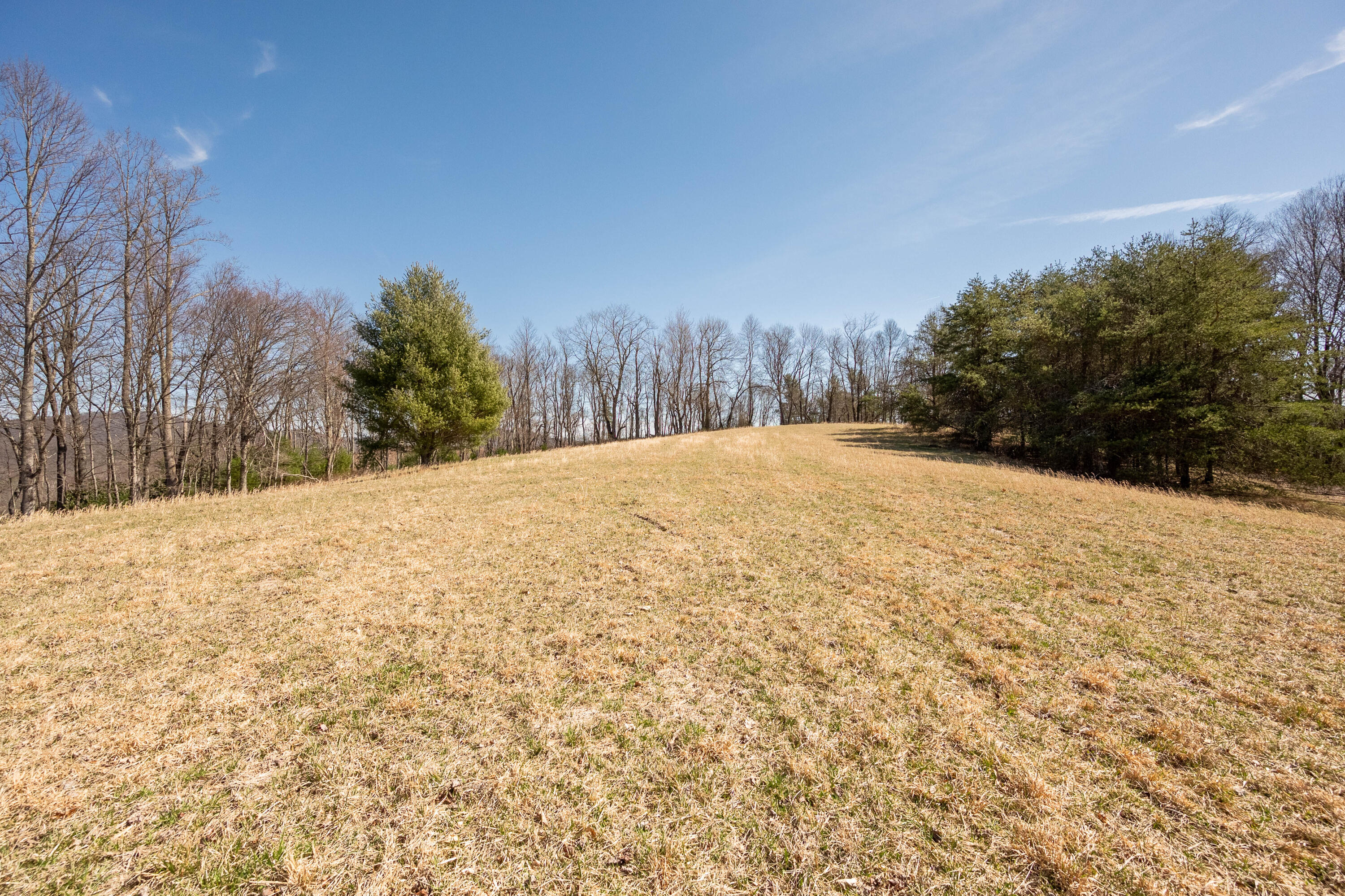 302 Red Ford Road Southwest Meadows Of Dan, VA 24120 - Photo 61 of 75 floyd-66