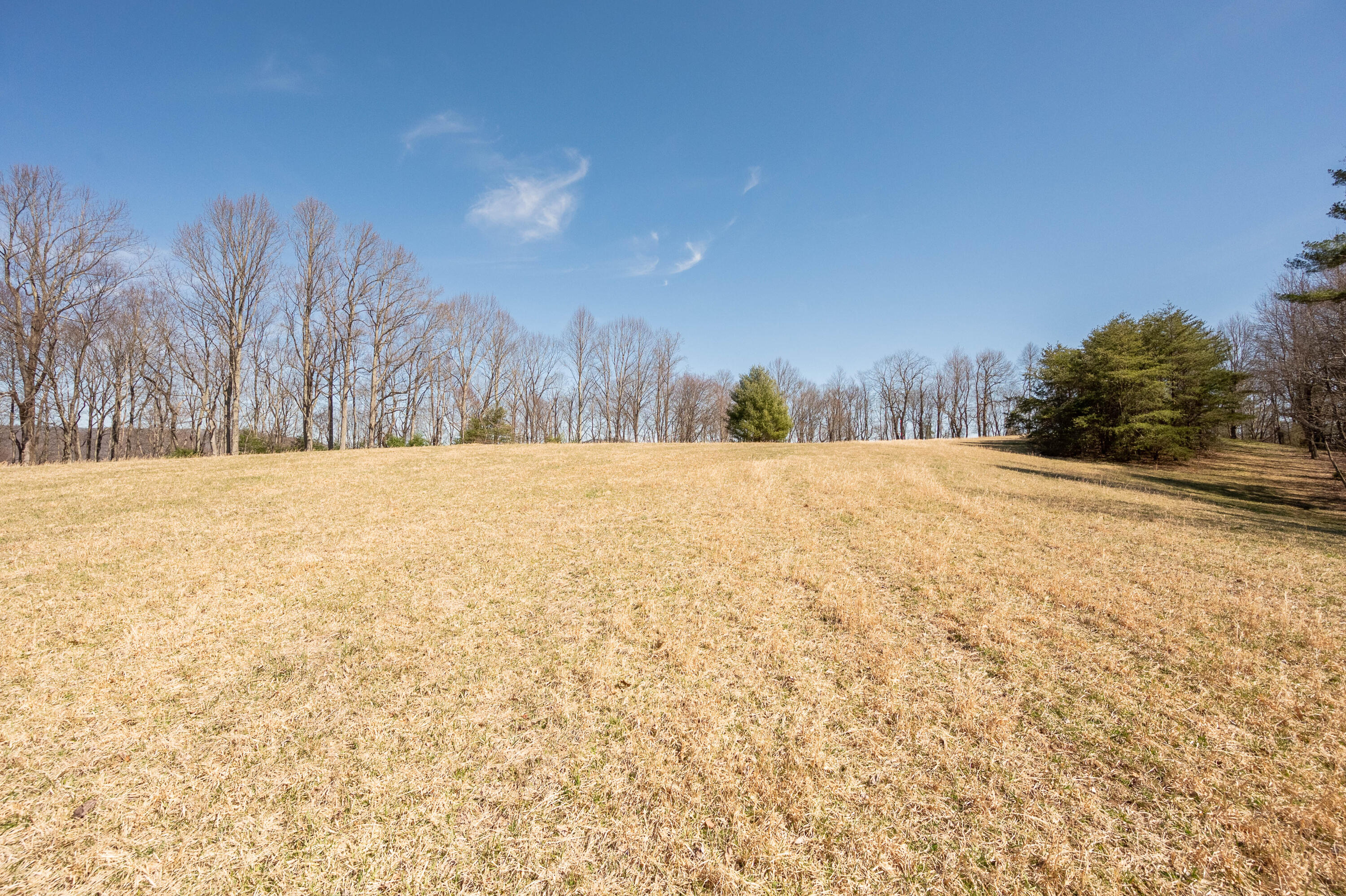 302 Red Ford Road Southwest Meadows Of Dan, VA 24120 - Photo 62 of 75 floyd-67