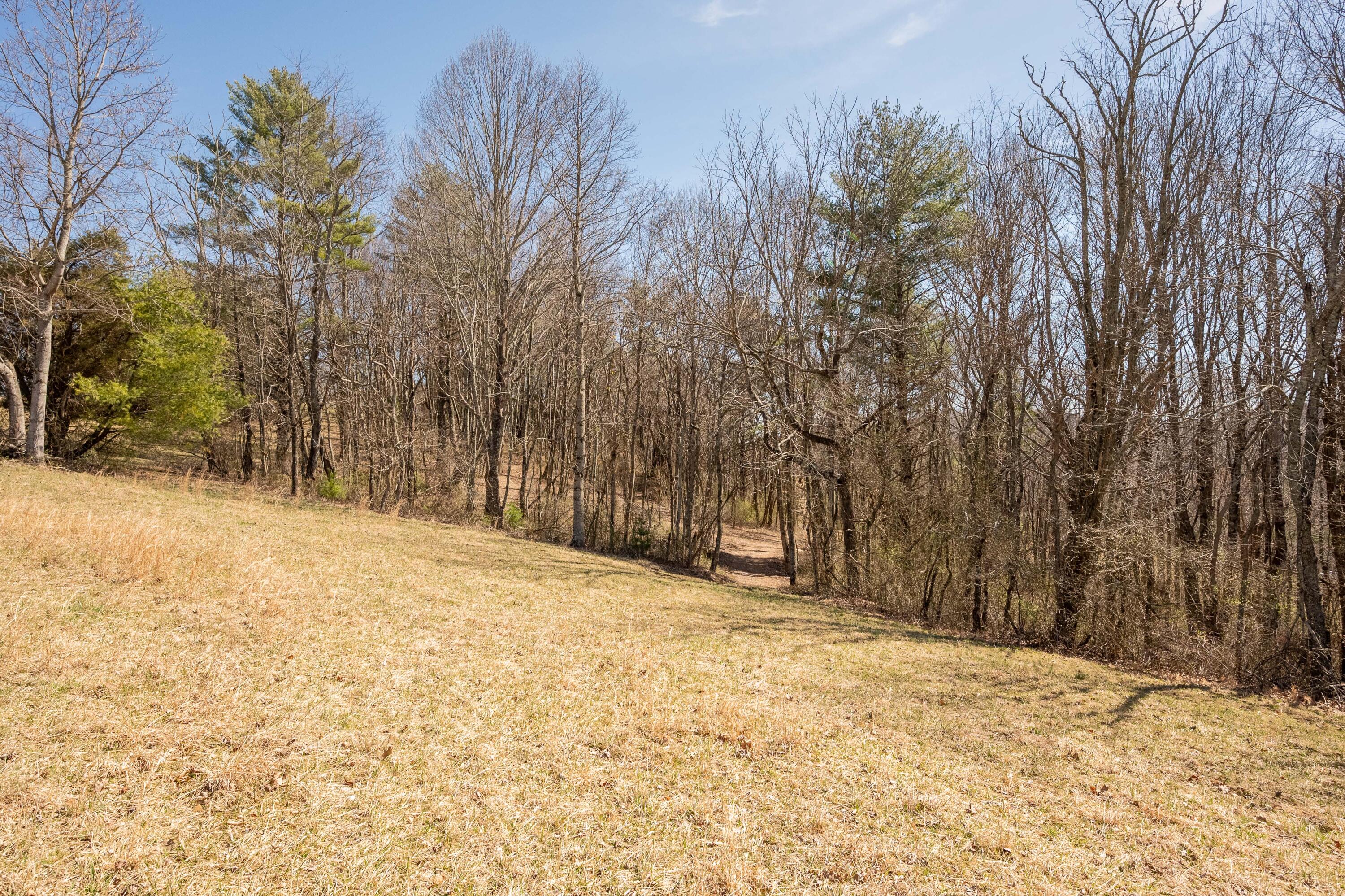 302 Red Ford Road Southwest Meadows Of Dan, VA 24120 - Photo 63 of 75 floyd-68