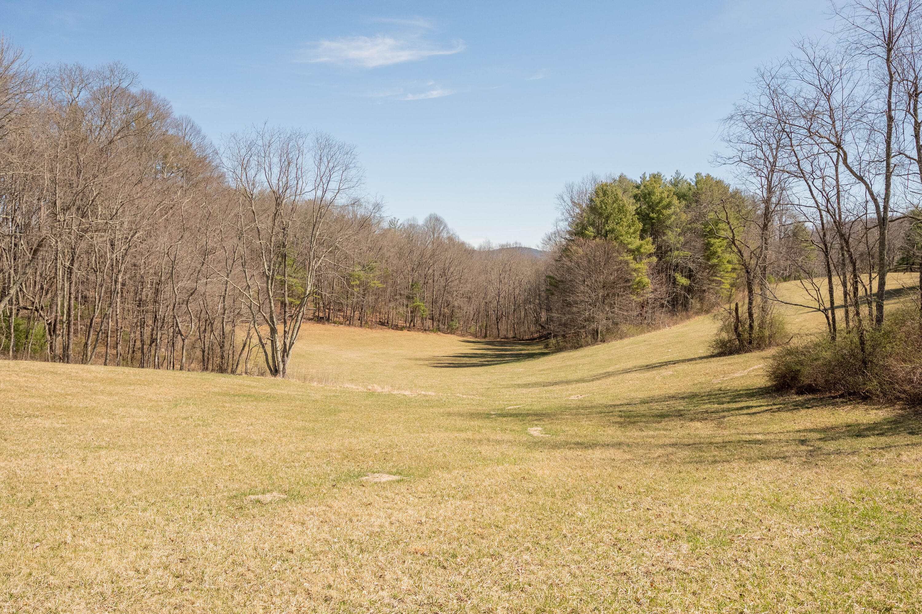 302 Red Ford Road Southwest Meadows Of Dan, VA 24120 - Photo 66 of 75 floyd-71