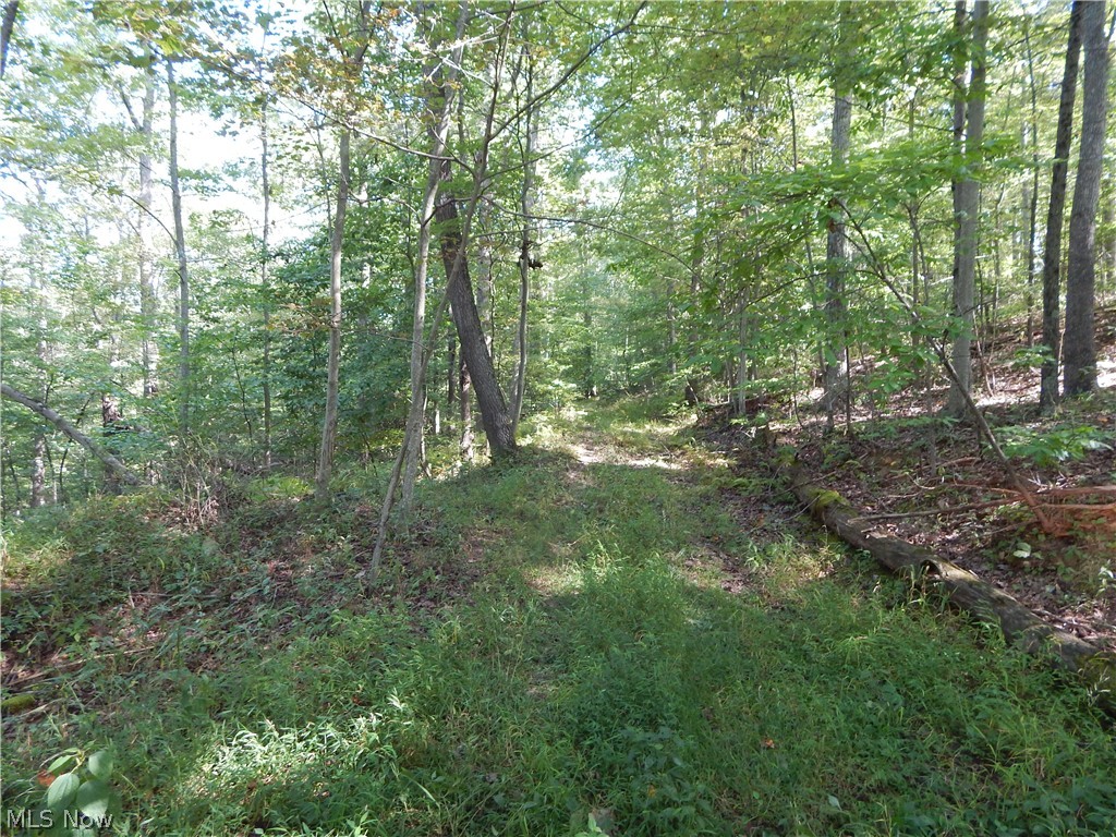 Brushy Fork Road Cairo, WV 26337 - Photo 25 of 29 Gallery Image 25