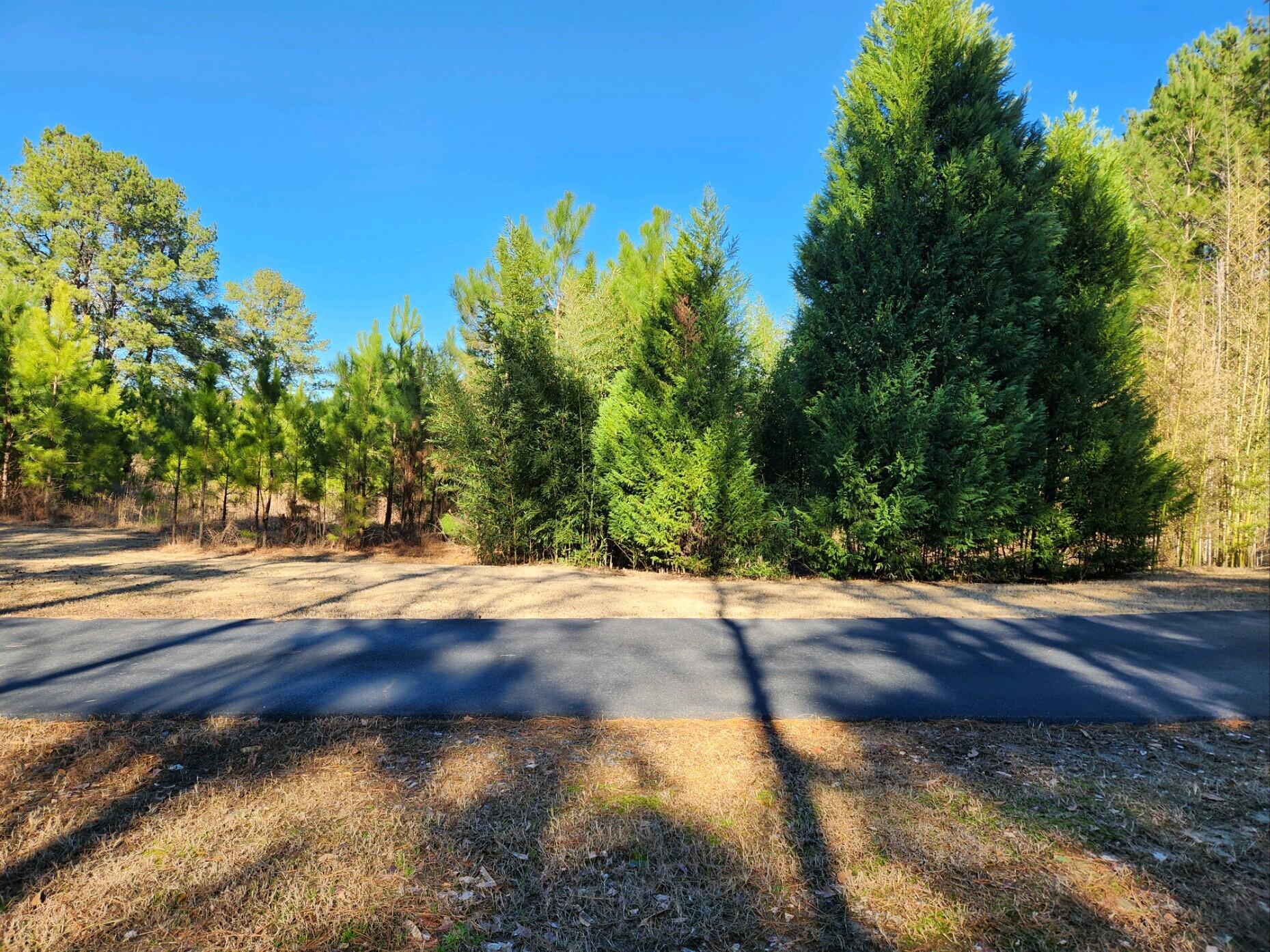 438 Wire Road Aiken, SC 29801 - Photo 3 of 4