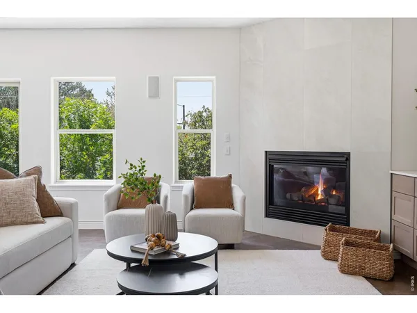 a living room with furniture a potted plant and a fireplace