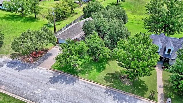 a view of a garden with plants