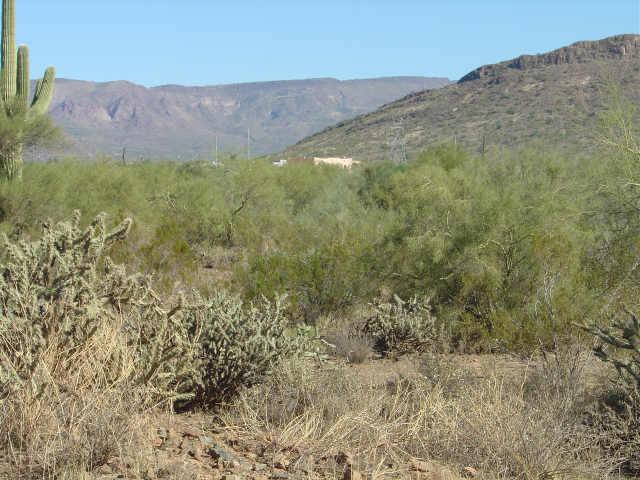 10 West Honda Bow Road, Unit 3 Phoenix, AZ 85087 - Photo 2 of 3 Additional Photo