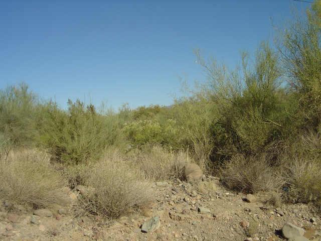 10 West Honda Bow Road, Unit 3 Phoenix, AZ 85087 - Photo 3 of 3 Additional Photo