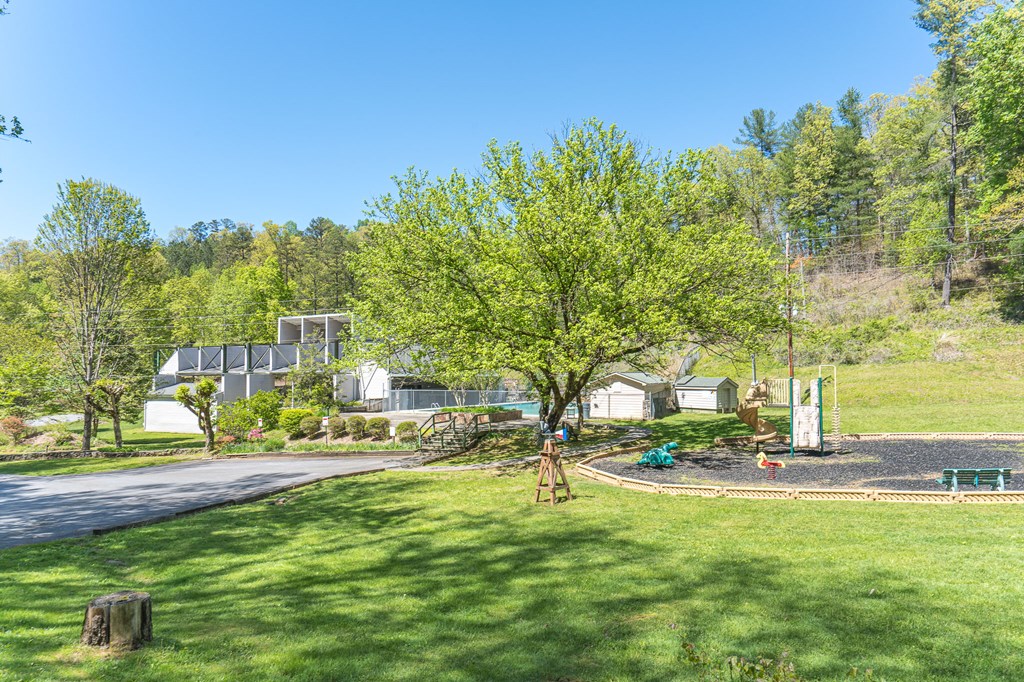 275 Village Road Murphy, NC 28906 - Photo 33 of 47 a view of yard with swimming pool and trees