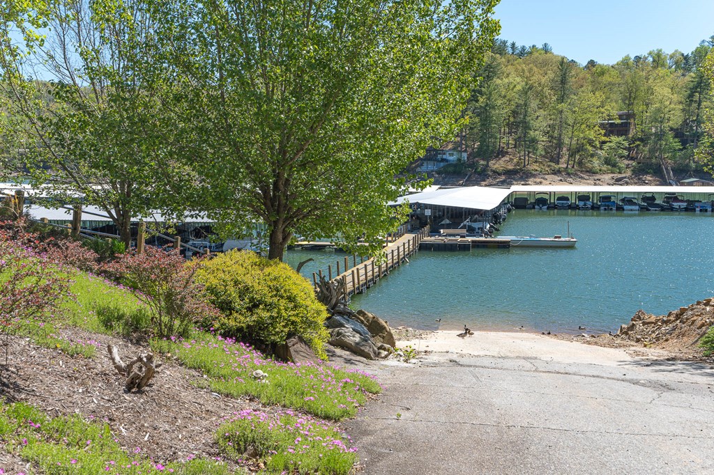 275 Village Road Murphy, NC 28906 - Photo 38 of 47 a view of a lake with a large trees