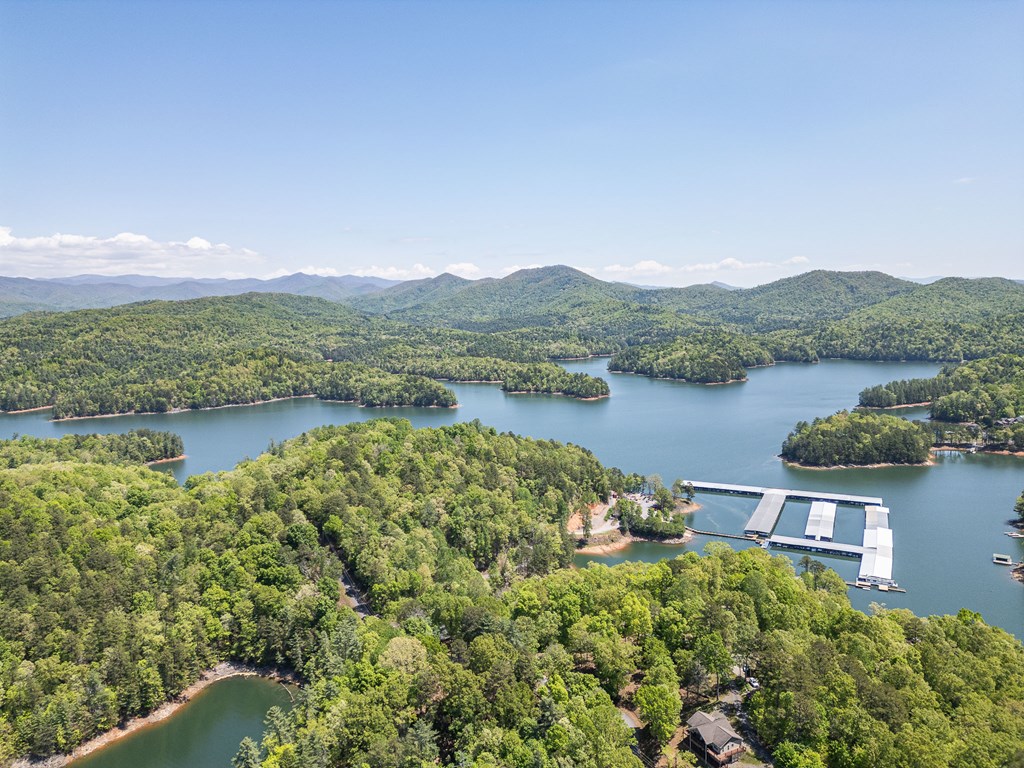 275 Village Road Murphy, NC 28906 - Photo 40 of 47 a view of a lake with a mountain in the background
