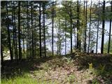 5606 Longbridge Road Pentwater, MI 49449 - Photo 2 of 8 Additional Photo