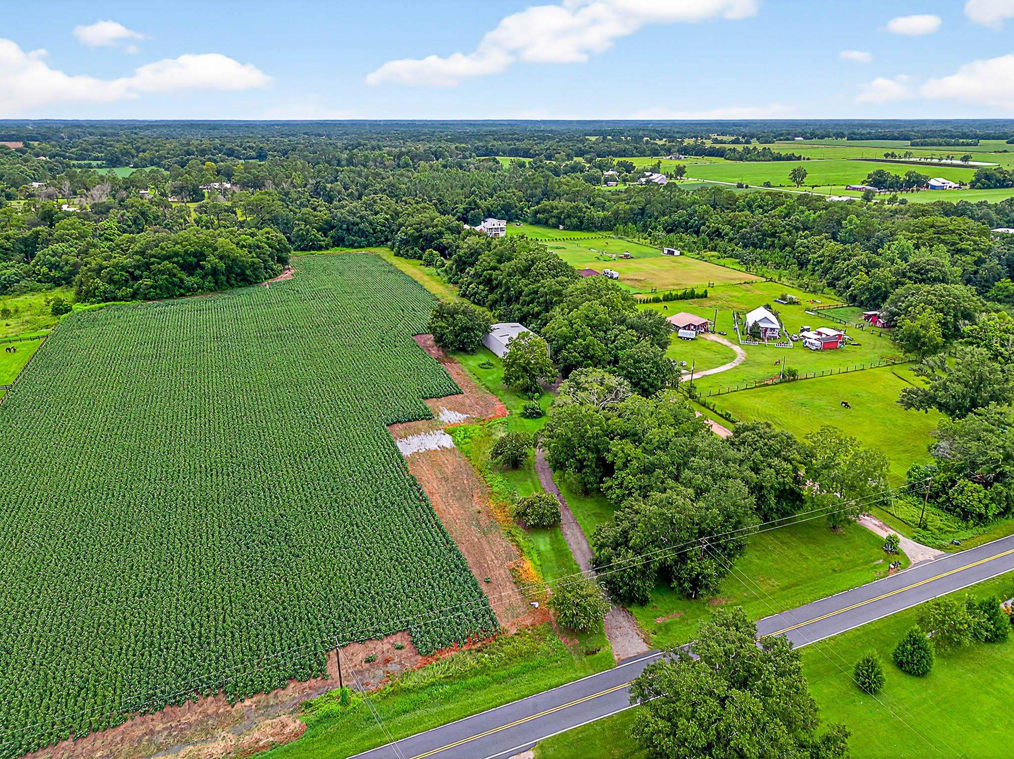 17270 Davis Road Summerdale, AL 36580 - Photo 80 of 97 Aerial View