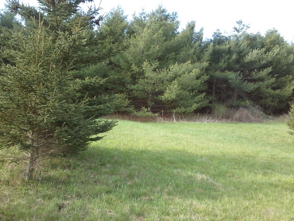 0 North Miller Road East Tawas, MI 48730 - Photo 4 of 23