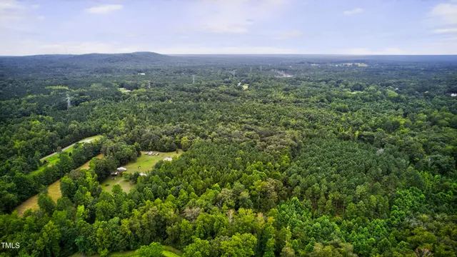 a view of a lush green forest with trees in the back