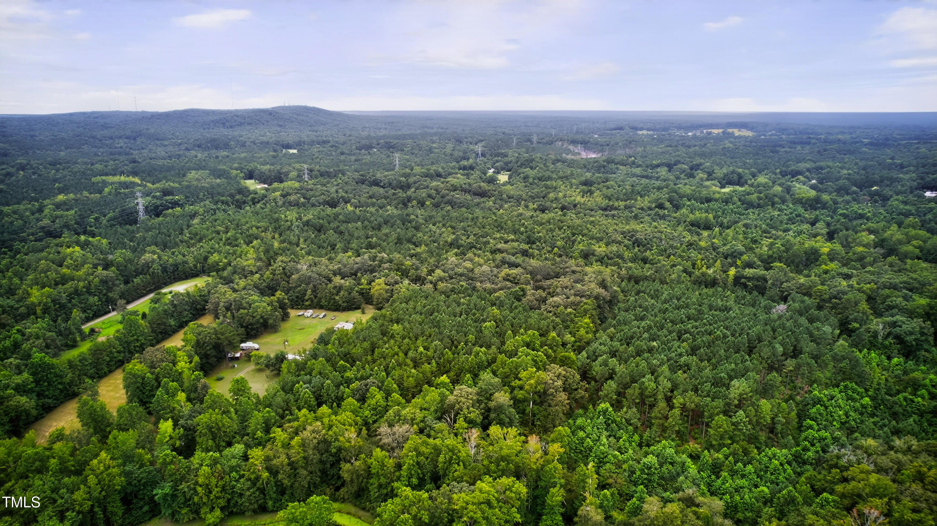 0 Thompson Mill Road Graham, NC 27253 - Photo 11 of 19 a view of a lush green forest with trees in the back