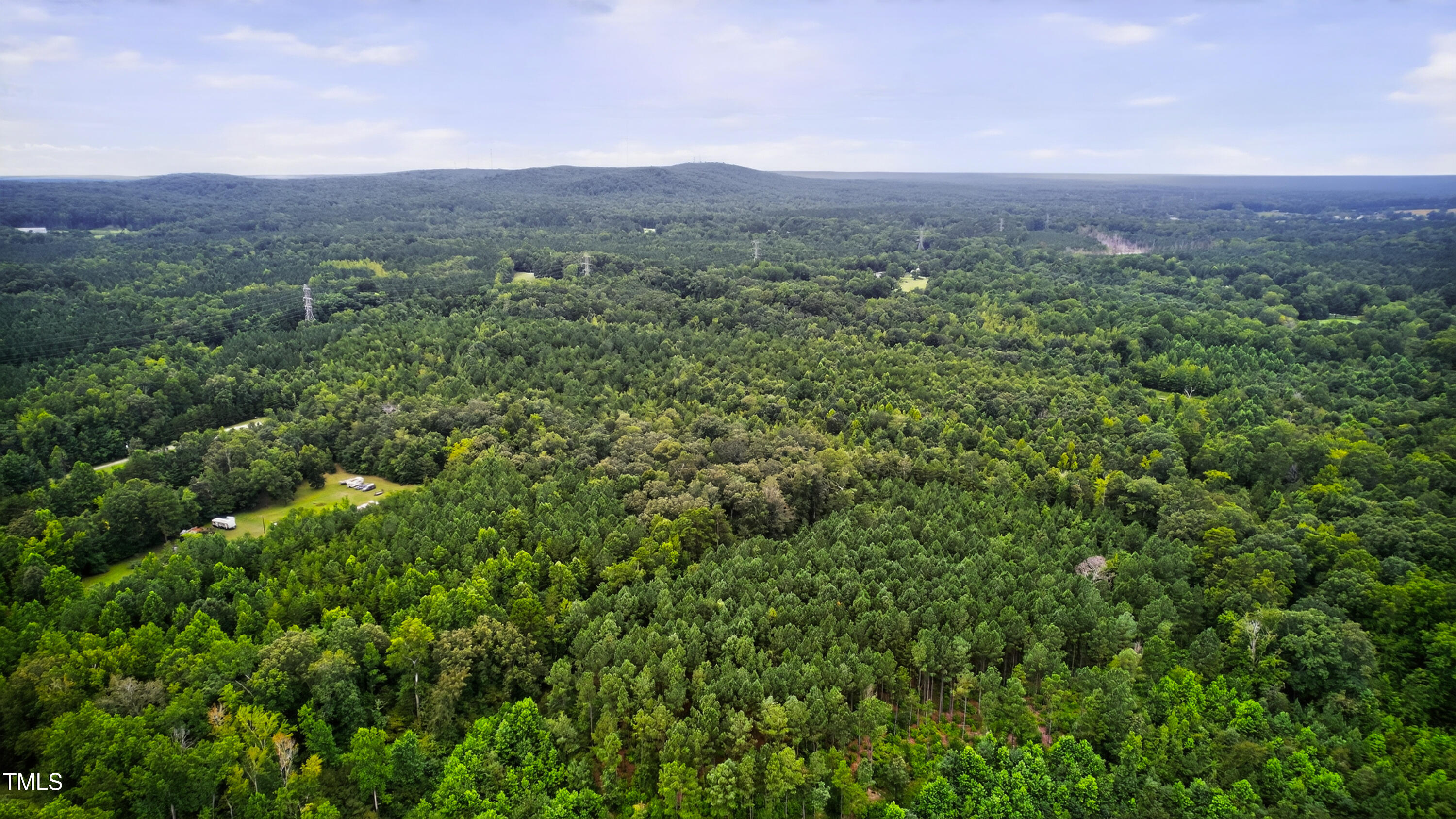 0 Thompson Mill Road Graham, NC 27253 - Photo 12 of 19 a view of a lush green forest with trees in the background