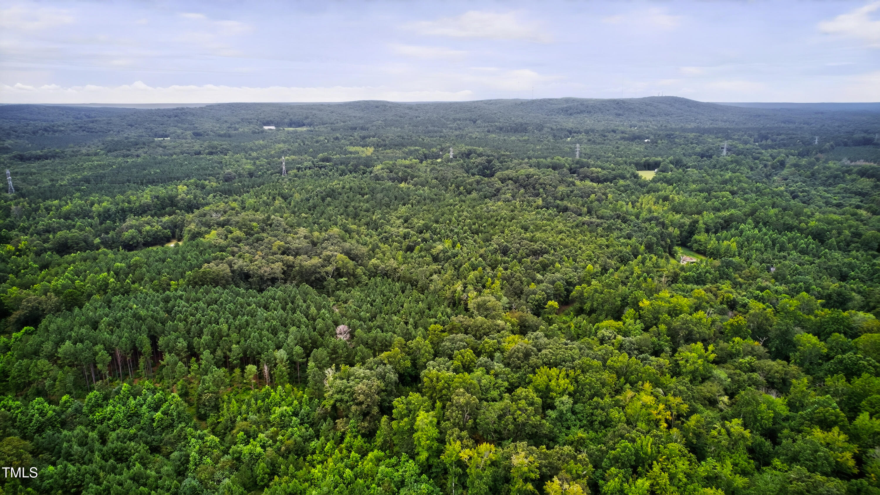 0 Thompson Mill Road Graham, NC 27253 - Photo 13 of 19 a view of a lush green forest with lush green forest