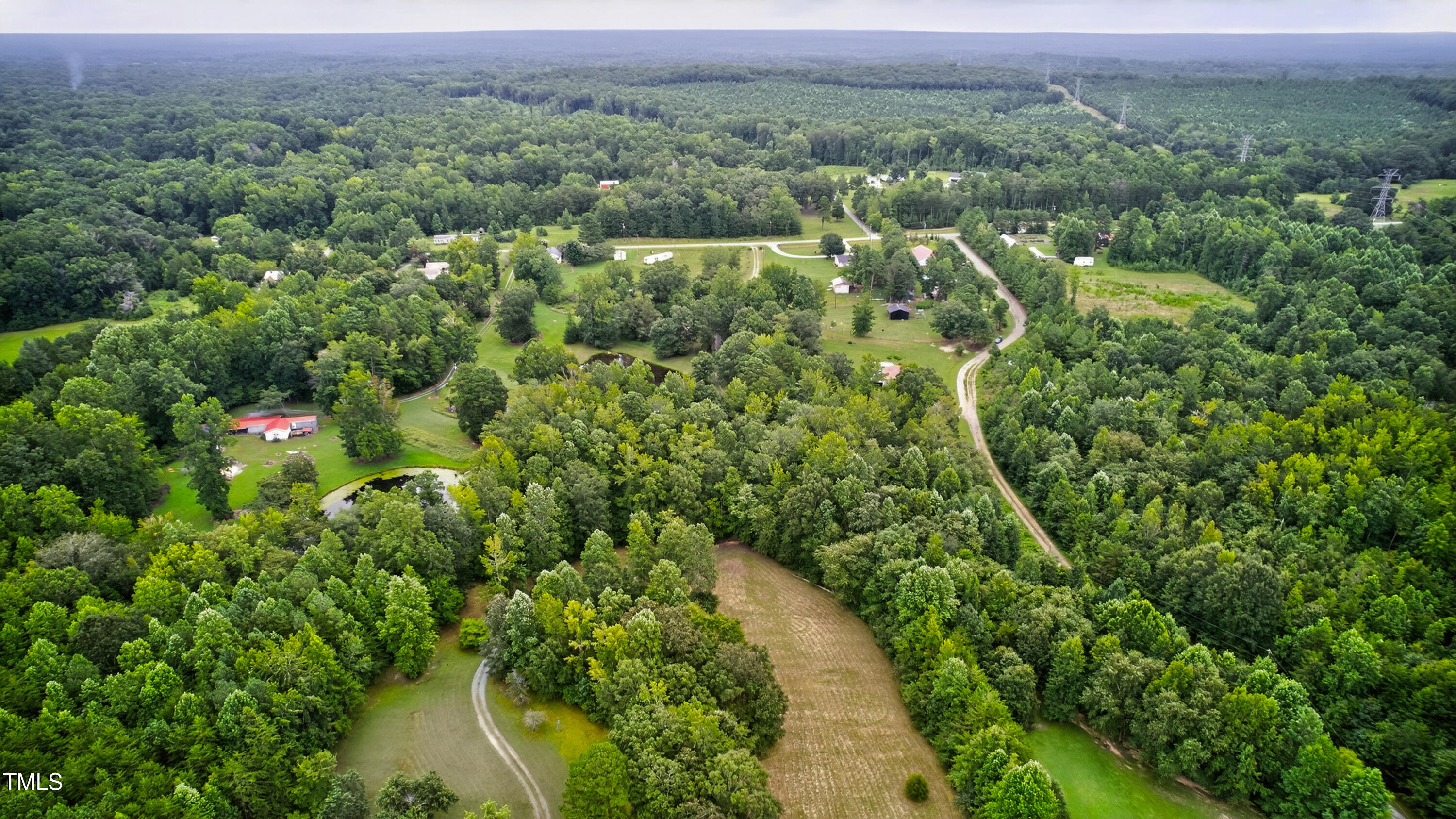 0 Thompson Mill Road Graham, NC 27253 - Photo 16 of 19 a view of a lush green forest with trees and some houses
