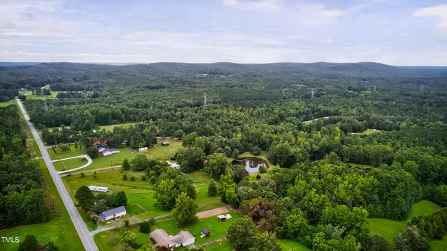 a view of a garden with mountains in the background