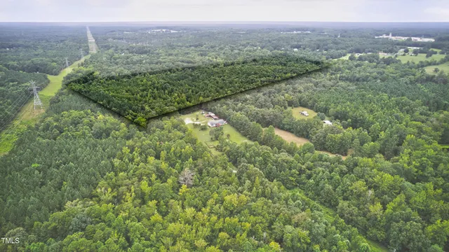 a view of a lush green forest with trees and some houses