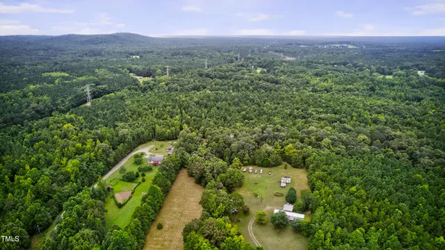 a view of a city with lush green forest
