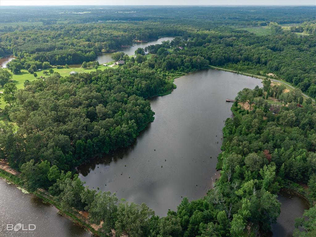 0 Twin Lakes Road Mansfield, LA 71052 - Photo 25 of 28 Expansive aerial landscape featuring a large body of water, dense mature tree coverage, and a distant pier