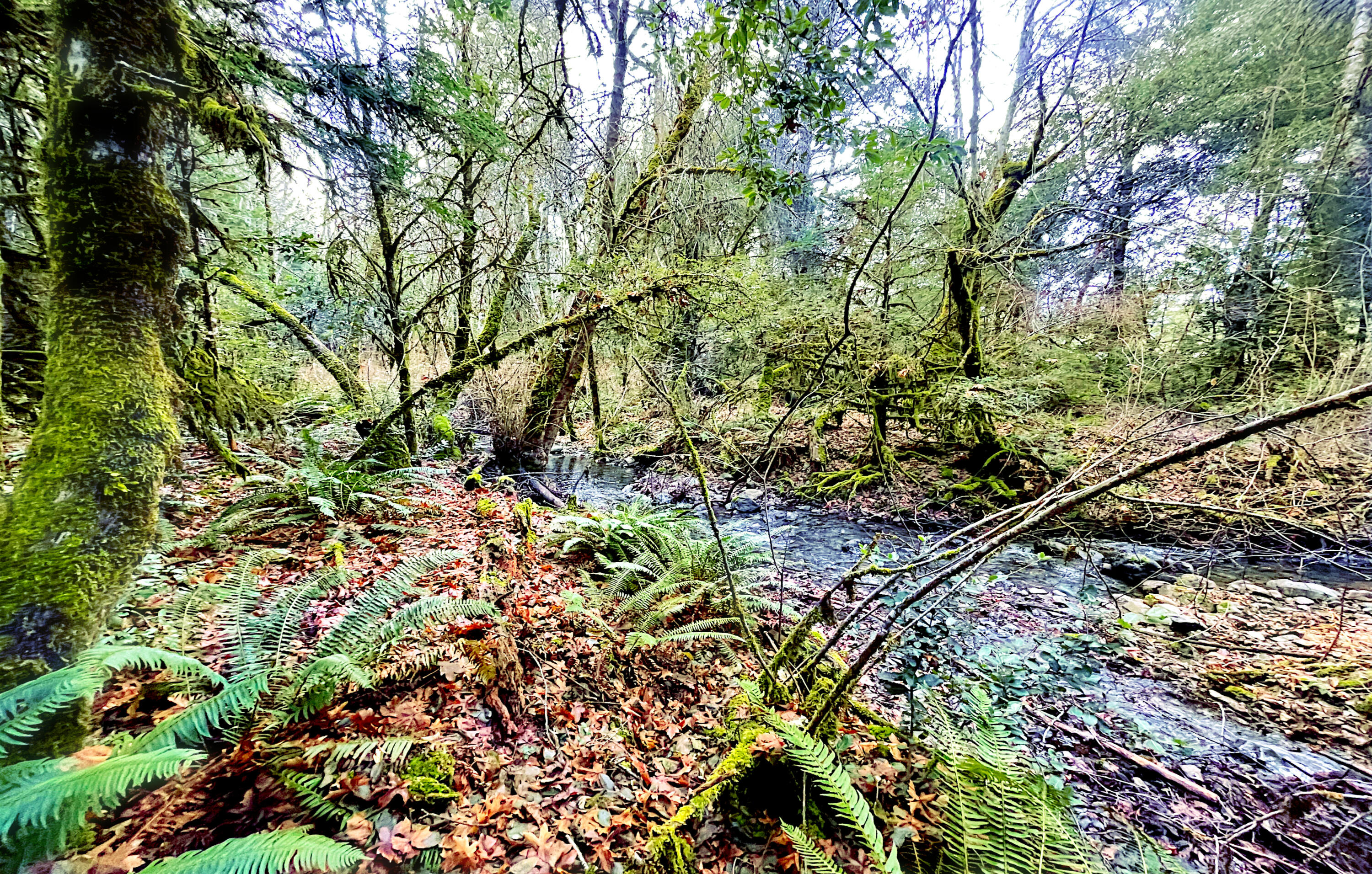 5130 Thompson Creek Road Selma, OR 97538 - Photo 20 of 22 IMG_5246