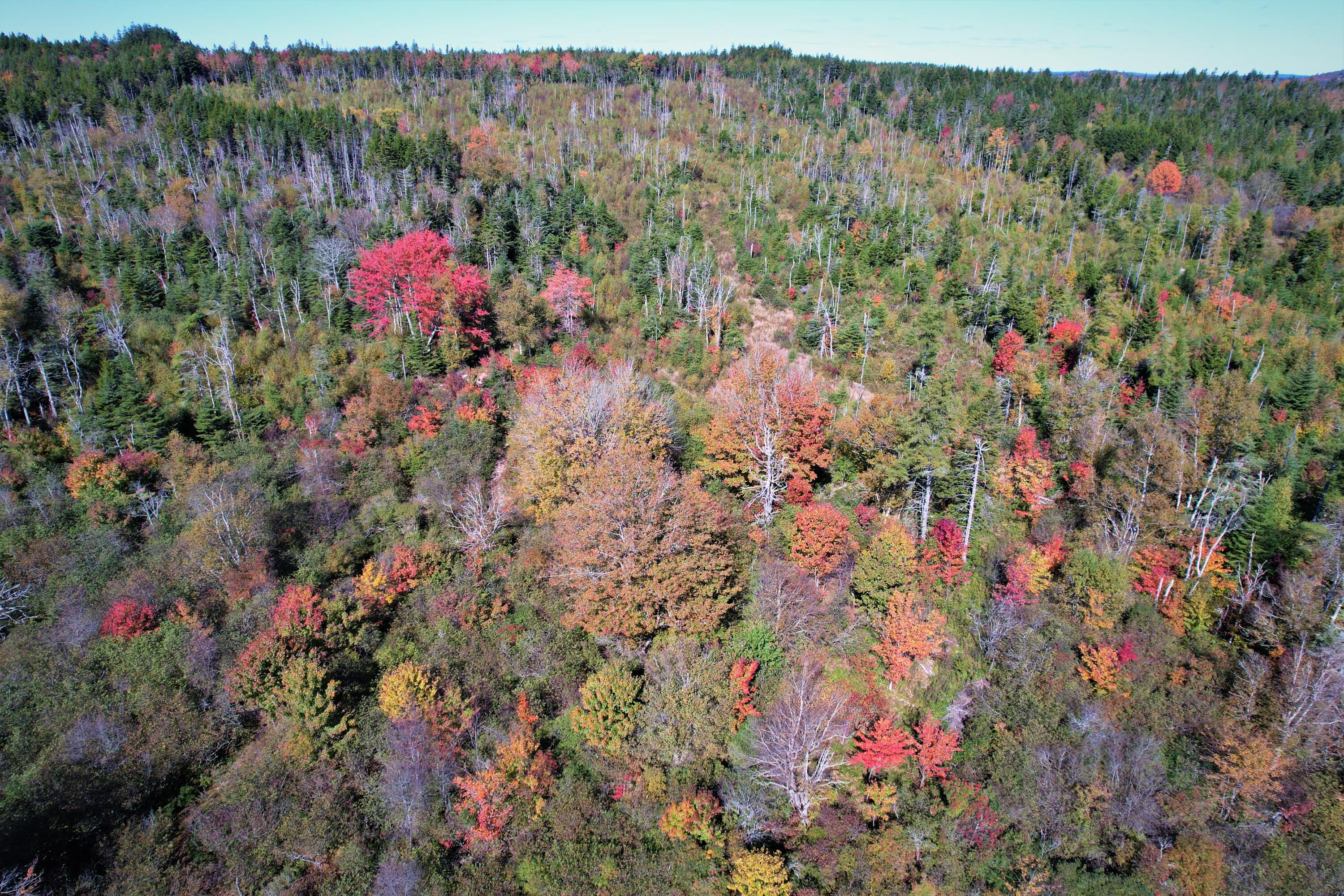 Aerial View of Back Acreage