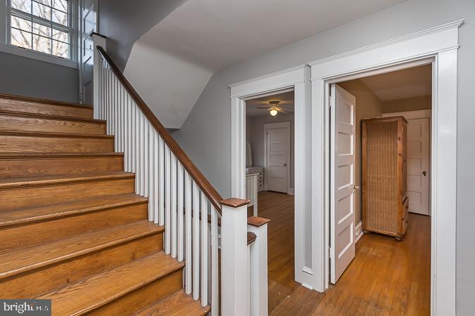 108 East Park Road Havertown, PA 19083 - Photo 38 of 47 Gallery Image 38