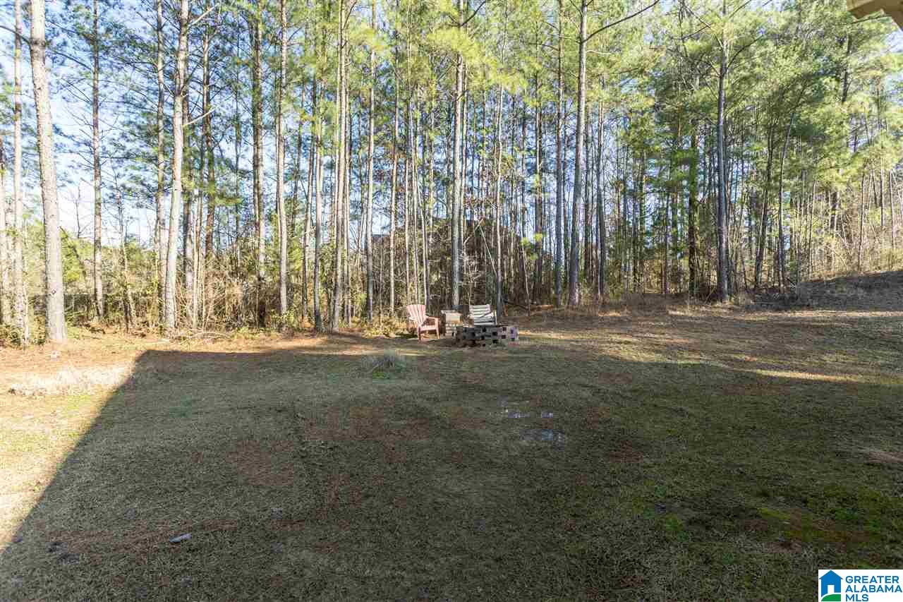 12 Seth Circle Warrior, AL 35180 - Photo 28 of 28