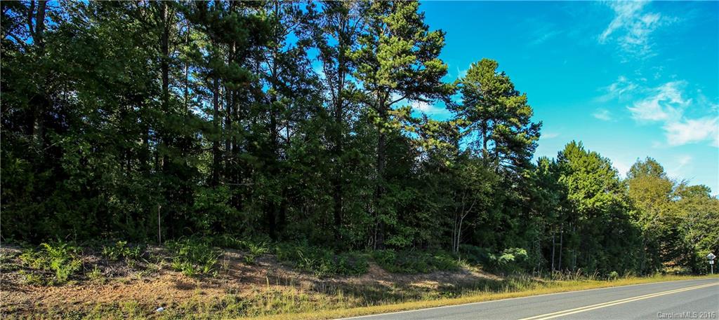 0 Herrin Grove Road Mount Pleasant, NC 28124 - Photo 3 of 10 Gallery Image 3