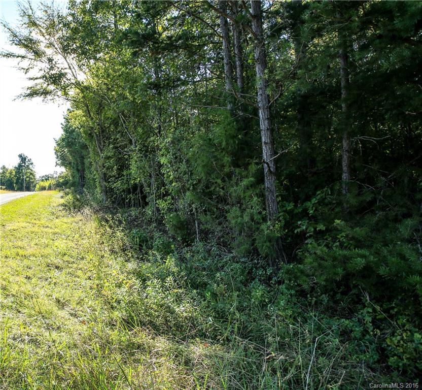 0 Herrin Grove Road Mount Pleasant, NC 28124 - Photo 4 of 10 Gallery Image 4