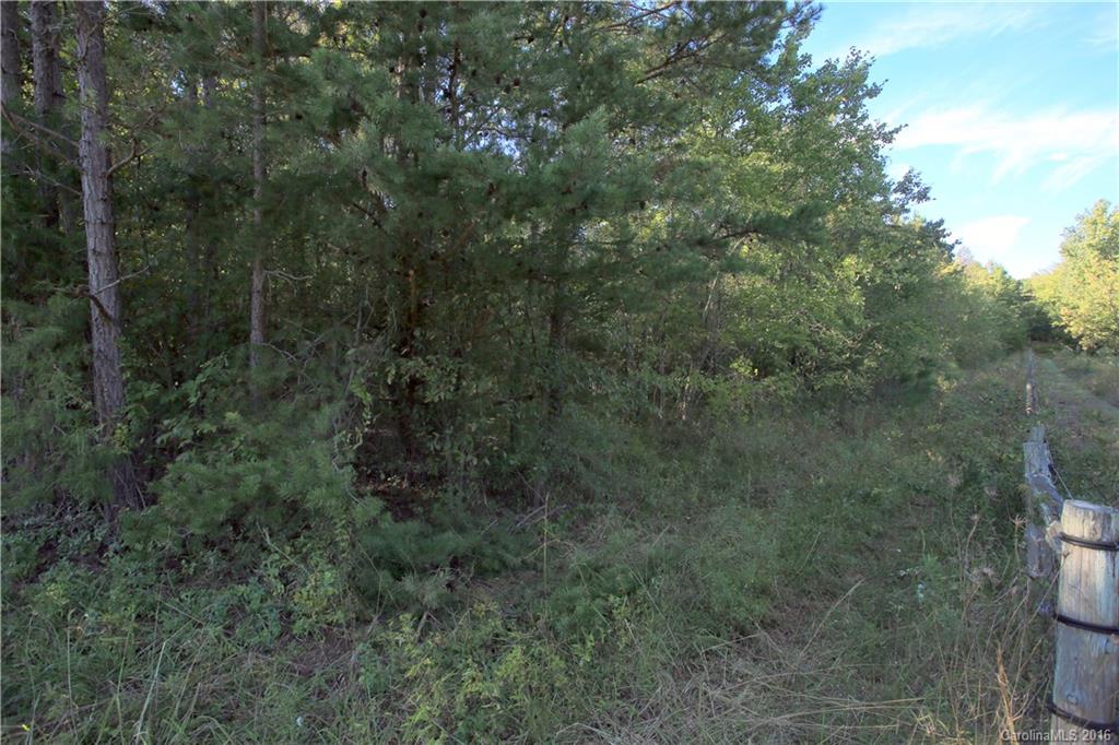 0 Herrin Grove Road Mount Pleasant, NC 28124 - Photo 7 of 10 Gallery Image 7