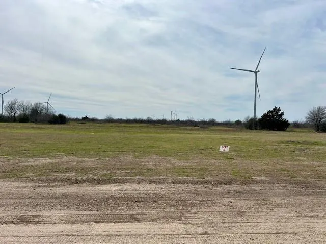 a view of a dry yard with trees