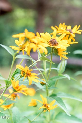 $705,000 | 607 South Franklin Street, Wake Forest, NC 27587