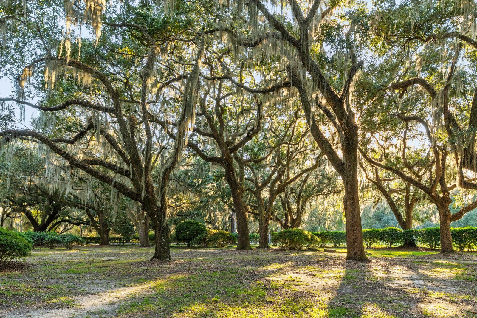 1305 River Road Yemassee, SC 29945 - Photo 36 of 90 156
