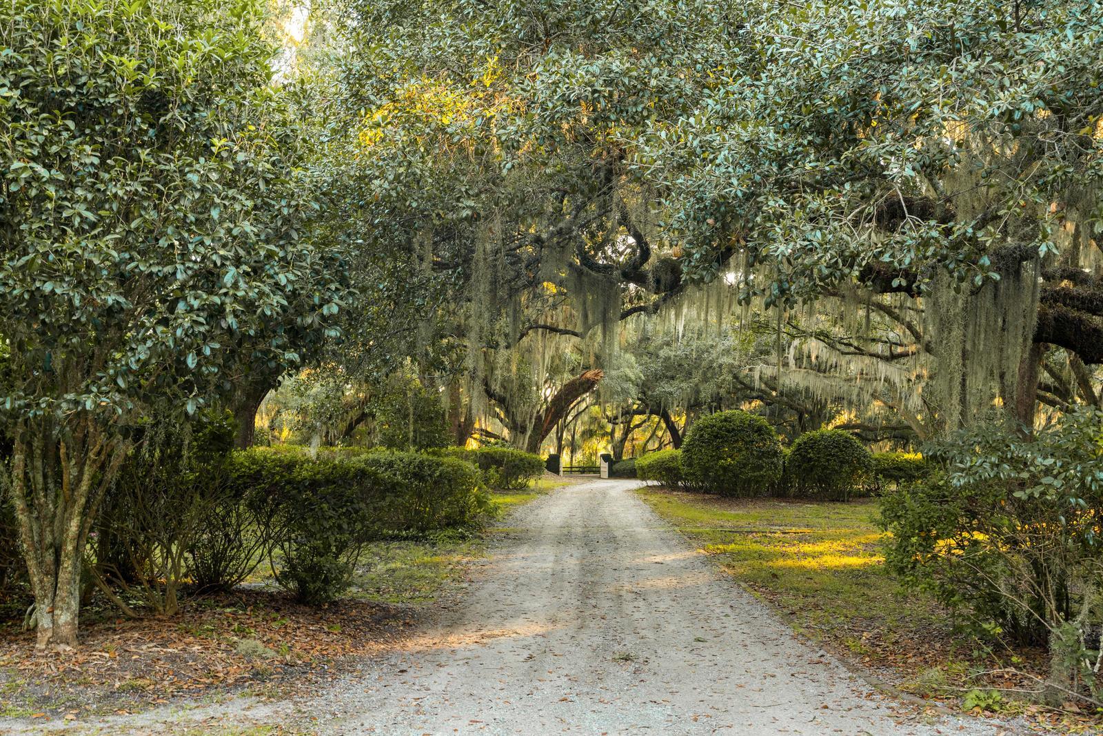 1305 River Road Yemassee, SC 29945 - Photo 79 of 90 138