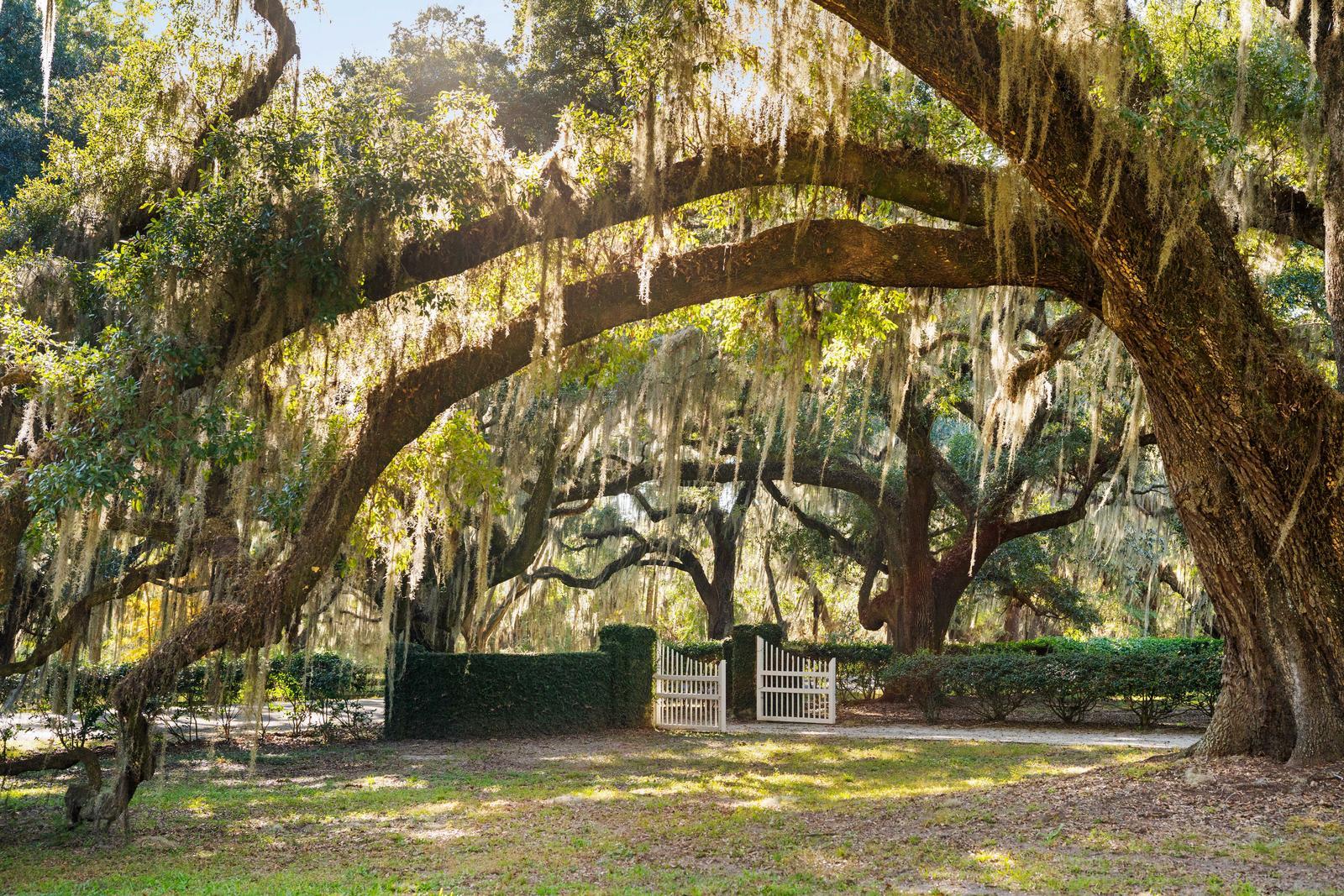 1305 River Road Yemassee, SC 29945 - Photo 81 of 90 165