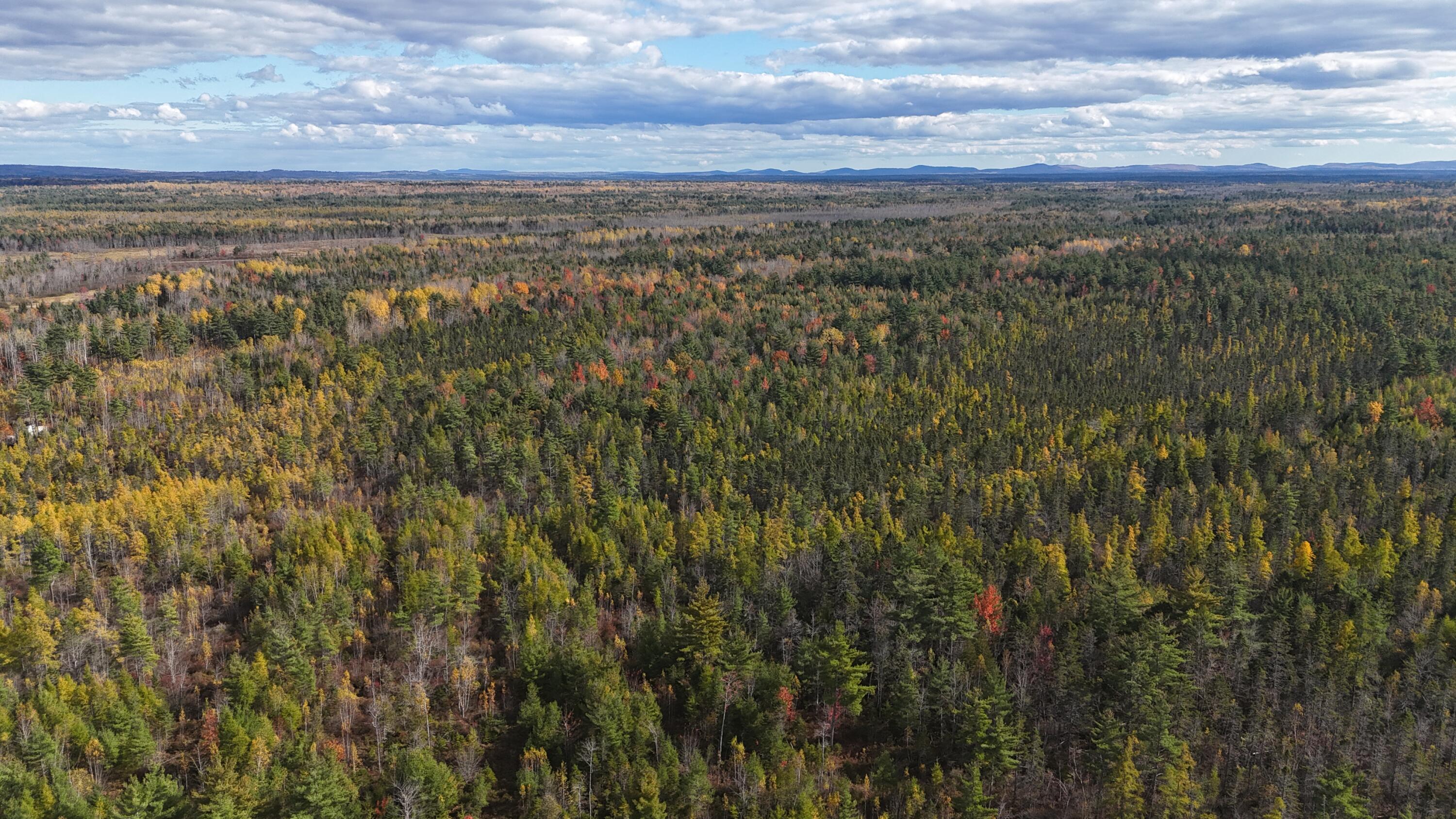 14-5 Pine Road Greenbush, ME 04418 - Photo 9 of 13 DJI_20231019133919_0004_D