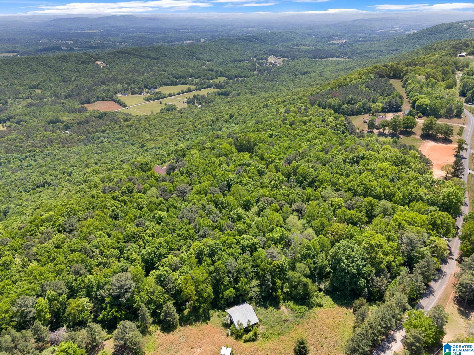 7076 Co Highway 24 Springville, AL 35146 - Photo 58 of 60